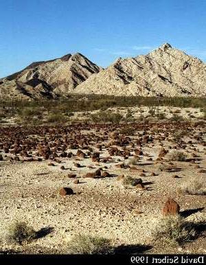 Galleries of Lower Colorado Valley images